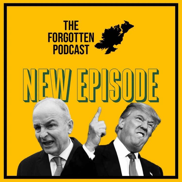 cover art for Ep 6 - A Mockery of Democracy : Dáil Éireann 2025