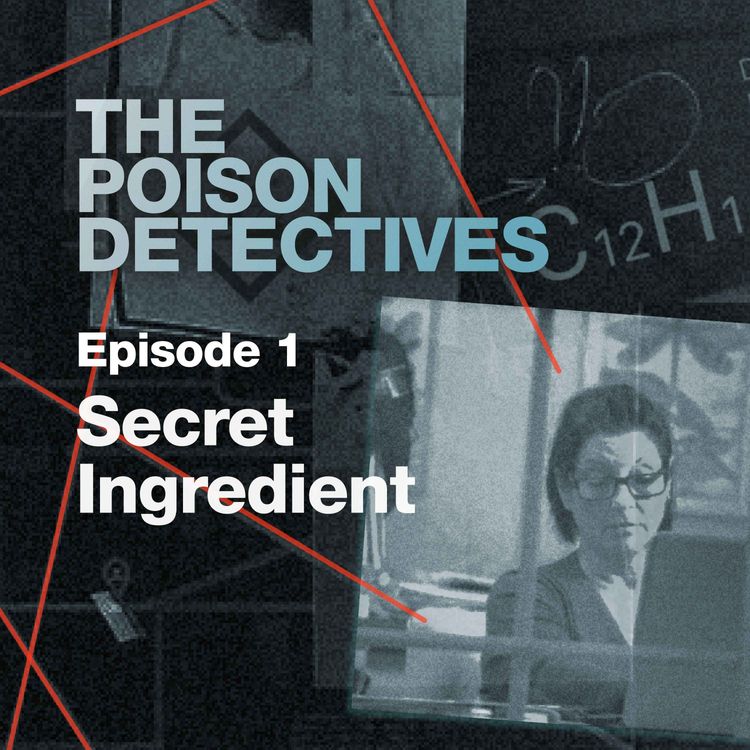 cover art for Secret Ingredient