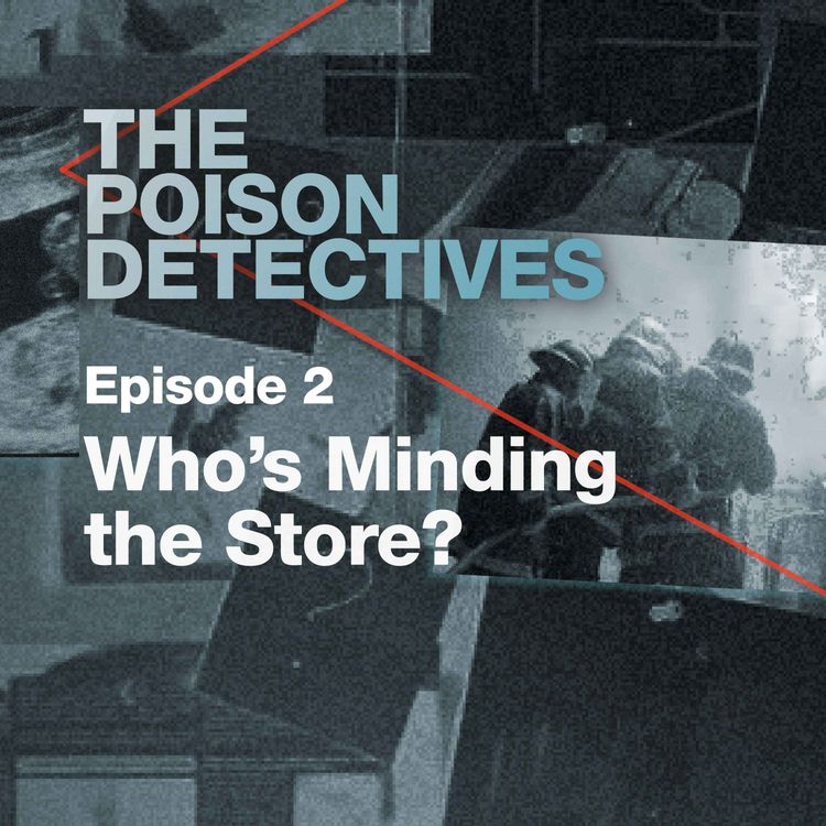 cover art for Who's Minding the Store?