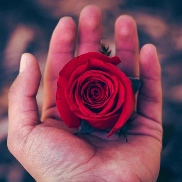 cover art for Manners - Meditation - Episode 1