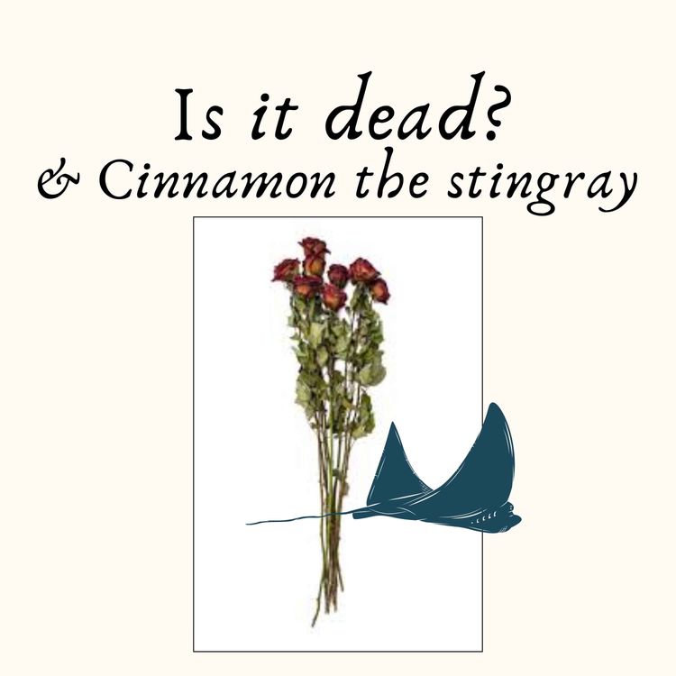 cover art for Is it dead?