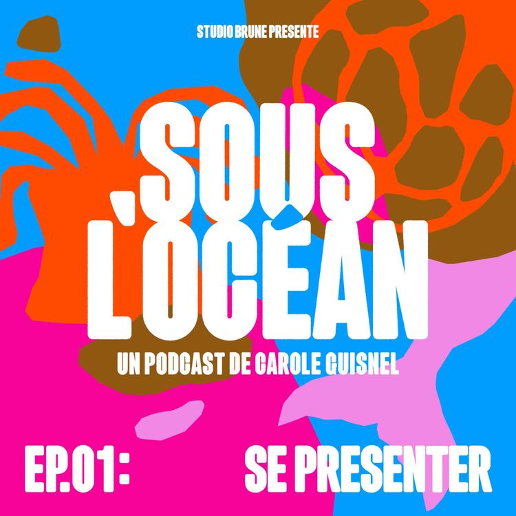 cover art for  SE PRÉSENTER