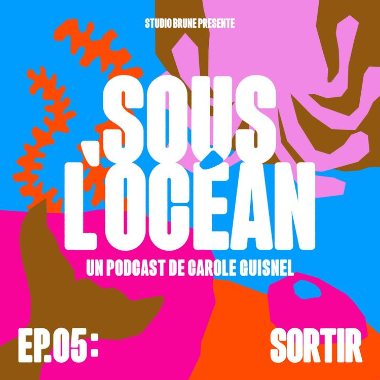 cover art for SORTIR