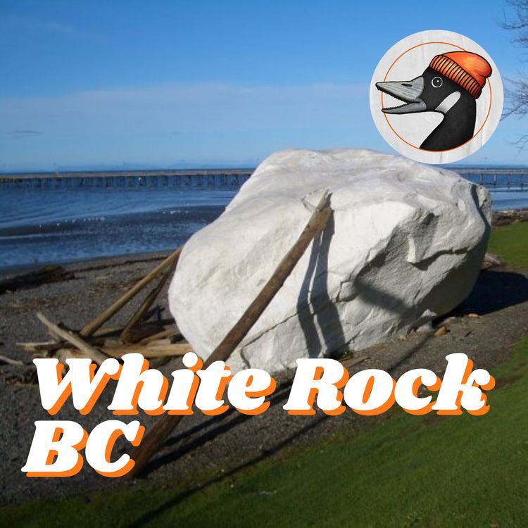 cover art for White Rock, BC: Justice for Nudists and the Seth Cohen Lookalike (ft. John Cullen)