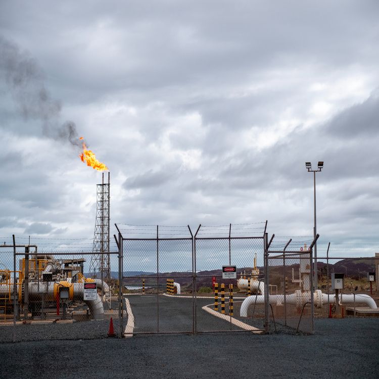 cover art for COOKED UP: The North West Shelf Fix