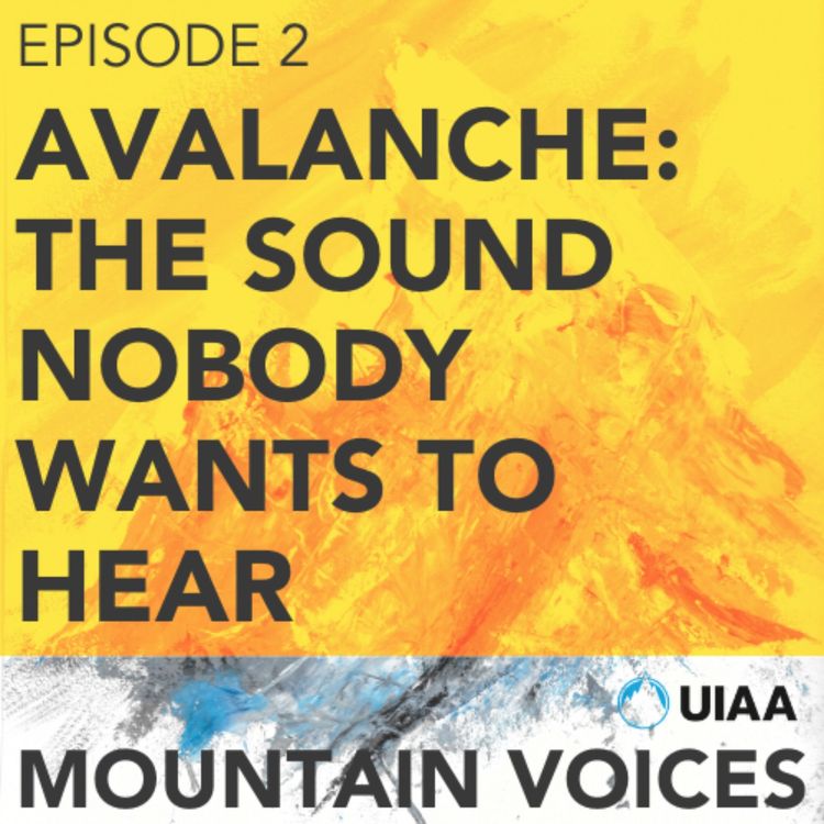 cover art for Avalanche: The Sound Nobody Wants To Hear