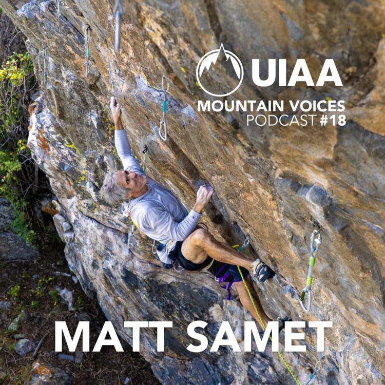 cover art for Interview with Matt Samet