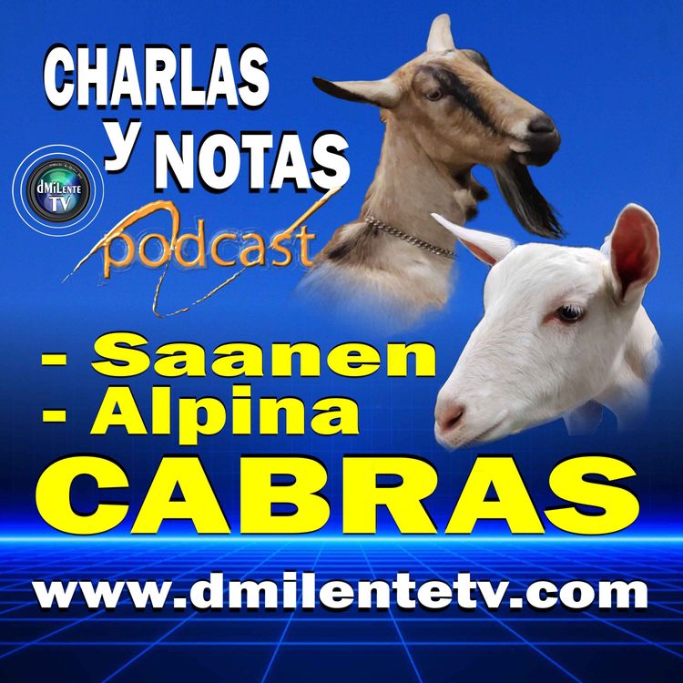 cover art for Cabras Saanen y Alpina en Boyacá 🐐 | Charla con Noé Jiménez del Rancho La Pesebrera