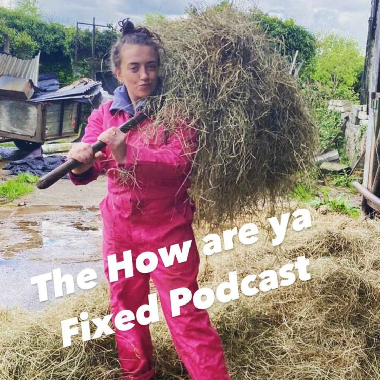 cover art for How Are Ya Fixed for Embarrassment? 