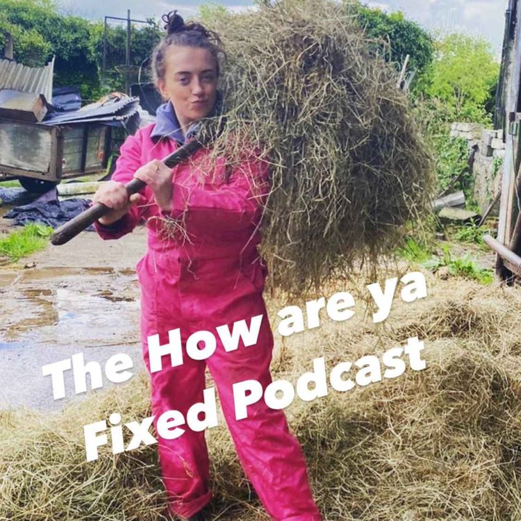 cover art for How Are Ya Fixed for Sleep? 