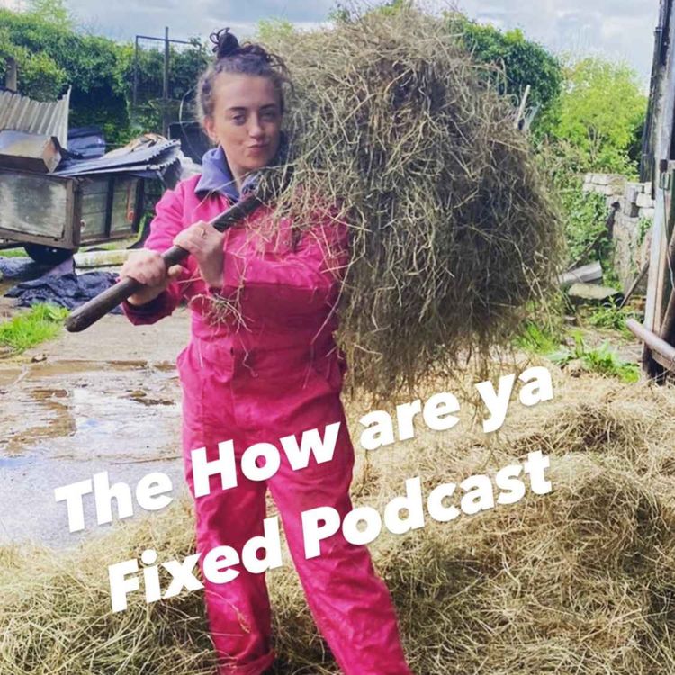 cover art for How Are ya Fixed for Italia Pt.2 