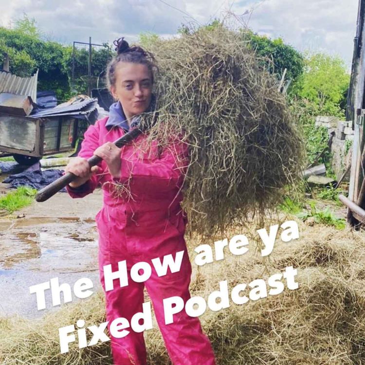 cover art for How Are Ya Fixed For Pronunciation? 