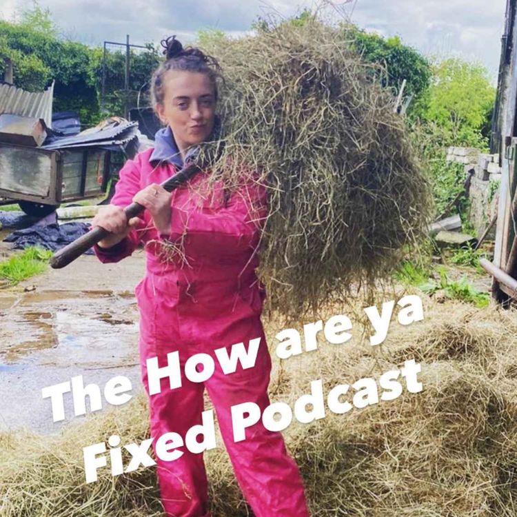 cover art for How Are Ya Fixed for Brain Surgery? 