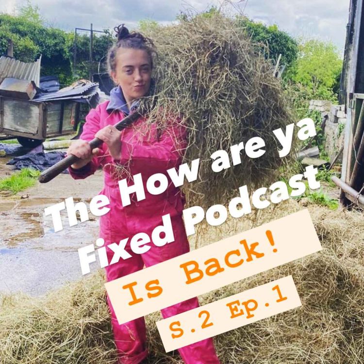 cover art for How are ya fixed Is Back !!!