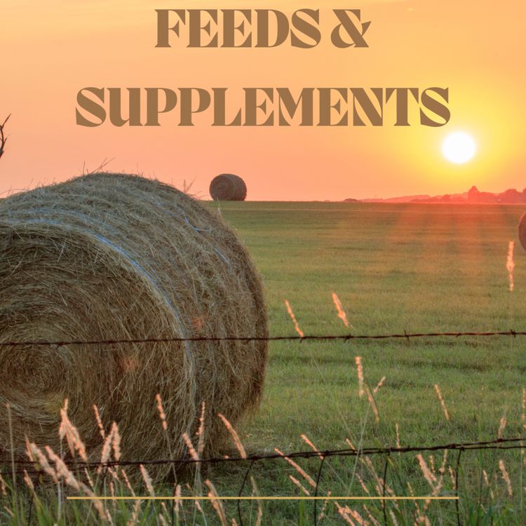 cover art for Feeds and Supplements