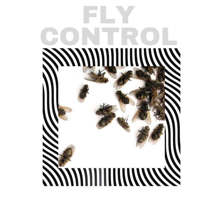 cover art for Fly Control