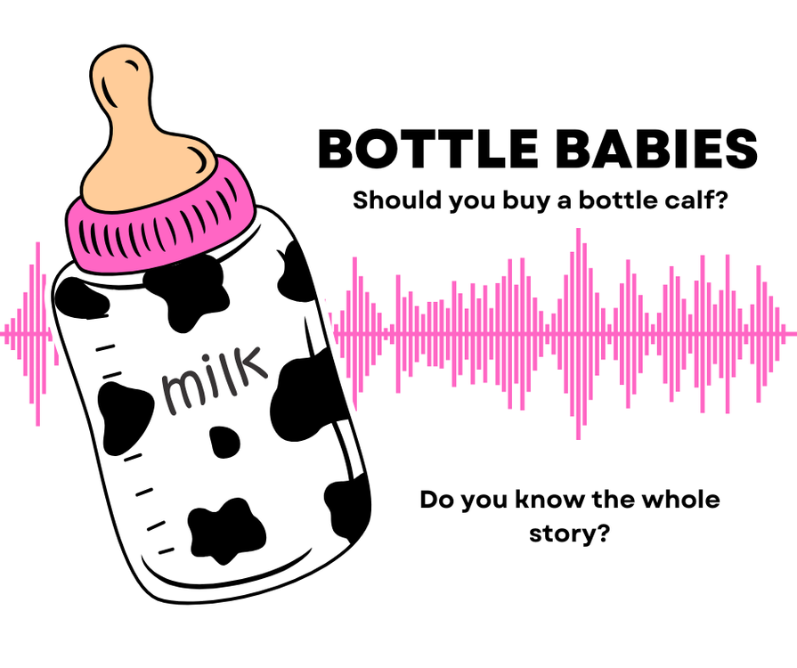 cover art for Bottle Babies