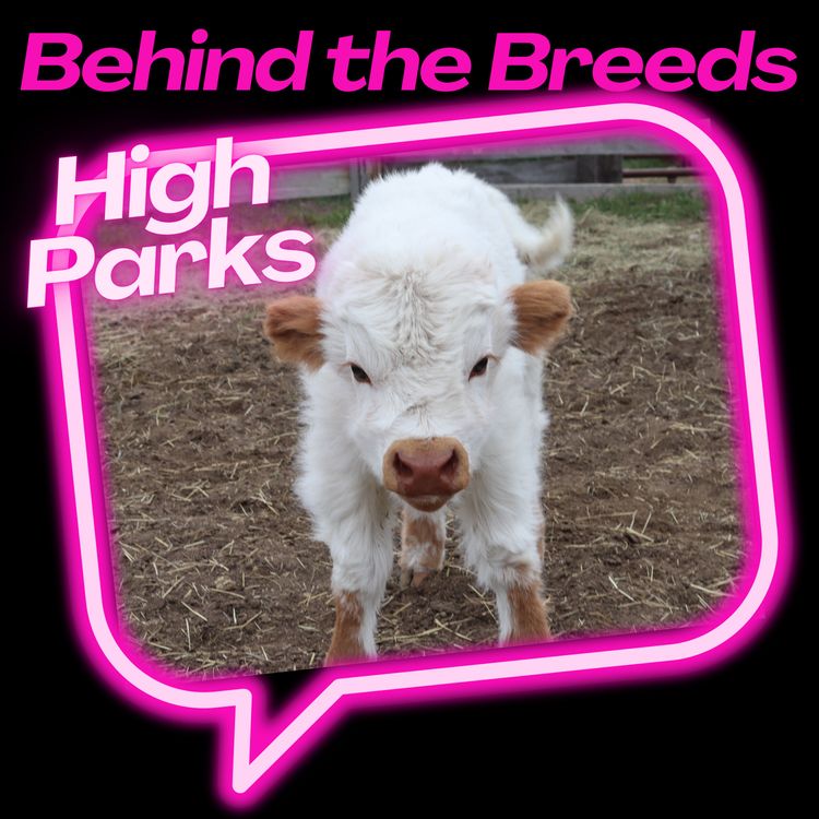 cover art for Behind the Breeds: Highparks