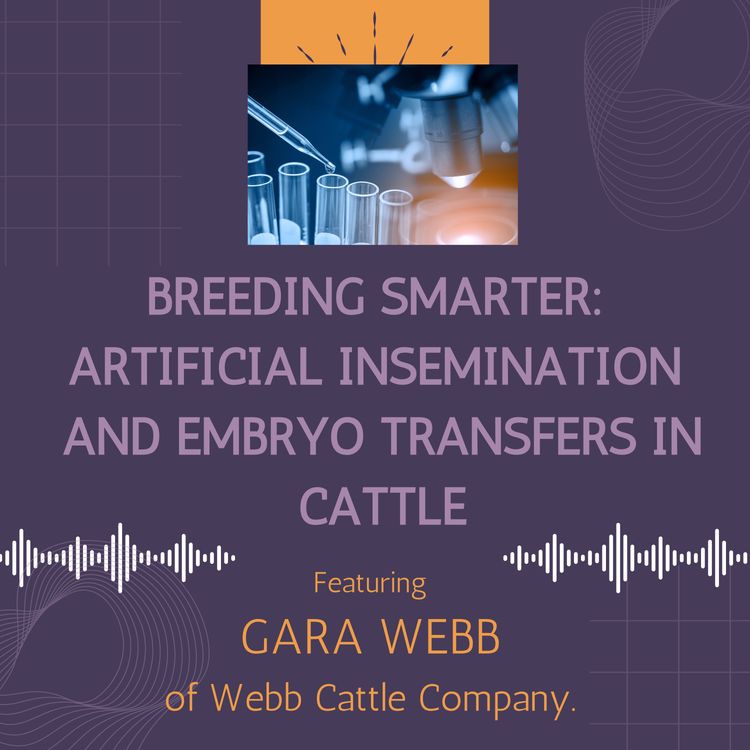 cover art for Breeding Smarter: Artificial Insemination & Embryo Transfers Explained with Gara Webb