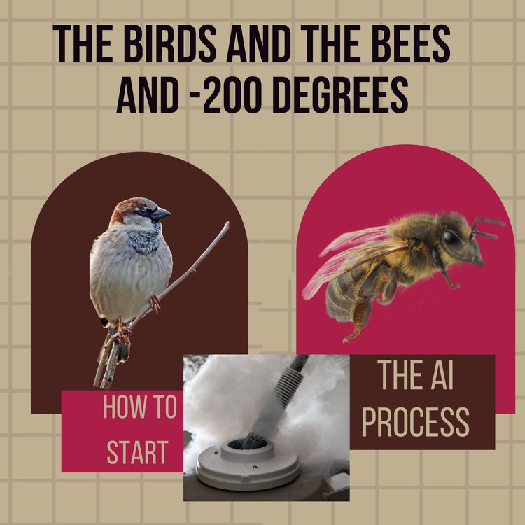 cover art for The Birds and the Bees and - 200 Degrees