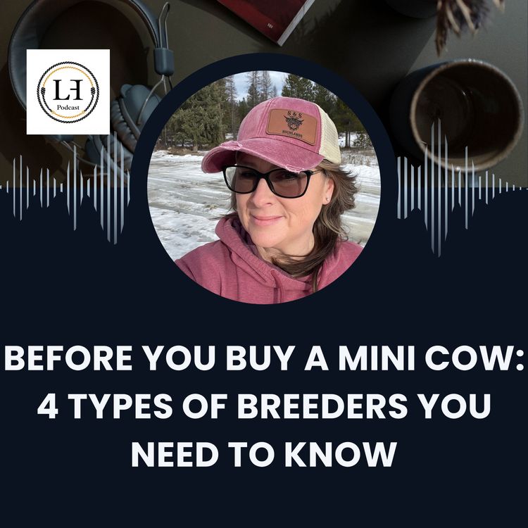 cover art for Before You Buy a Mini Cow: 4 Types of Breeders You Need To Know