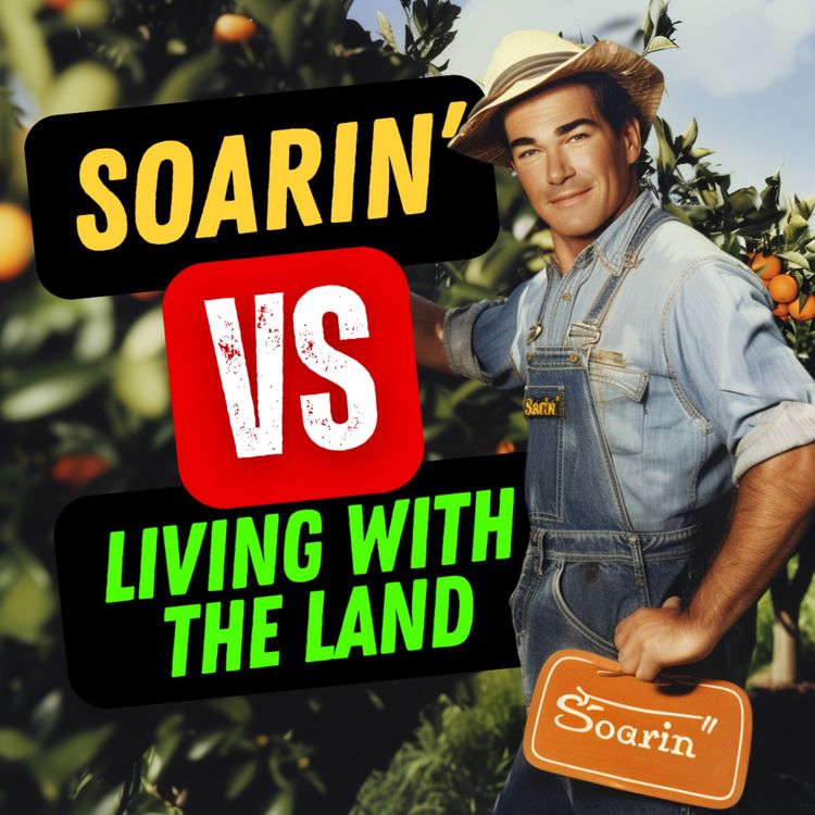 cover art for Soarin' VS Living With The Land