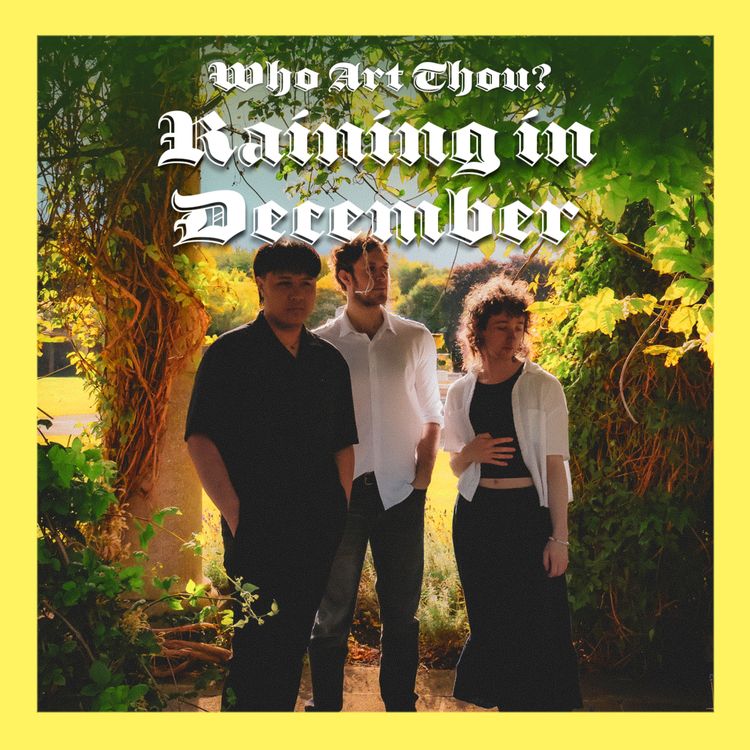 cover art for Episode 207: Raining in December