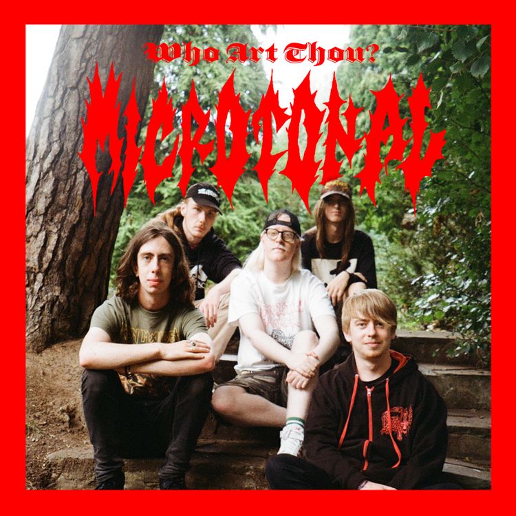 cover art for Episode 228: Microtonal