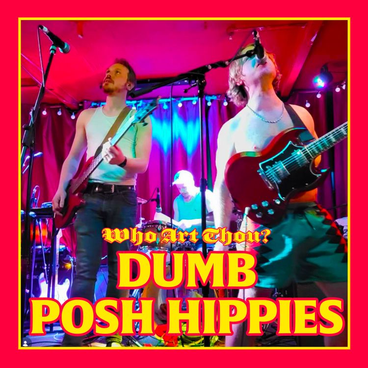 cover art for Episode 240: DUMB POSH HIPPIES