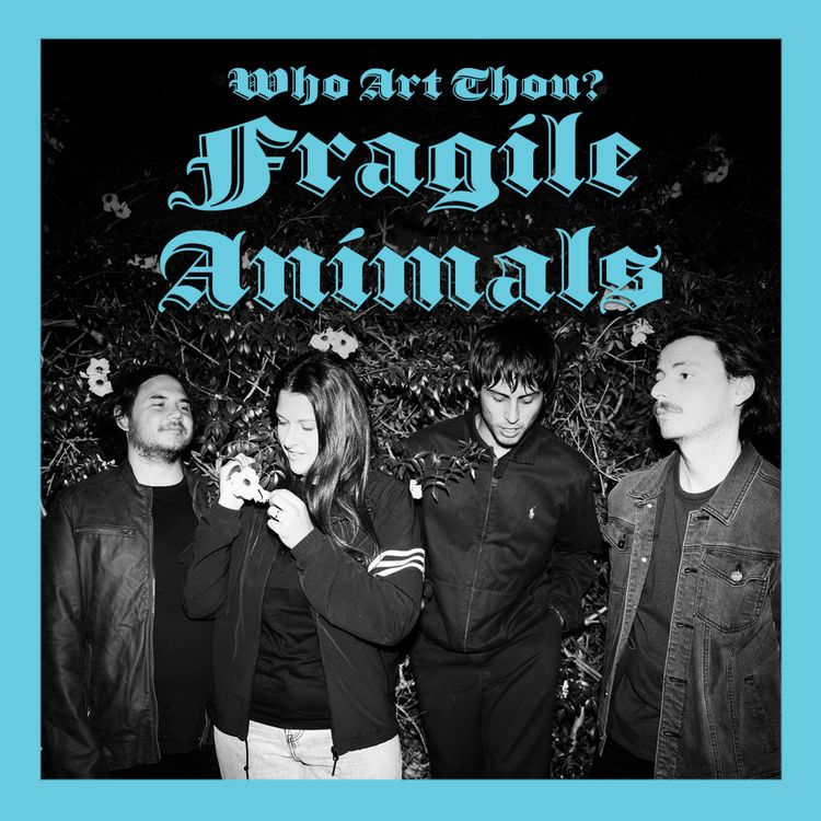 cover art for Episode 242: Fragile Animals