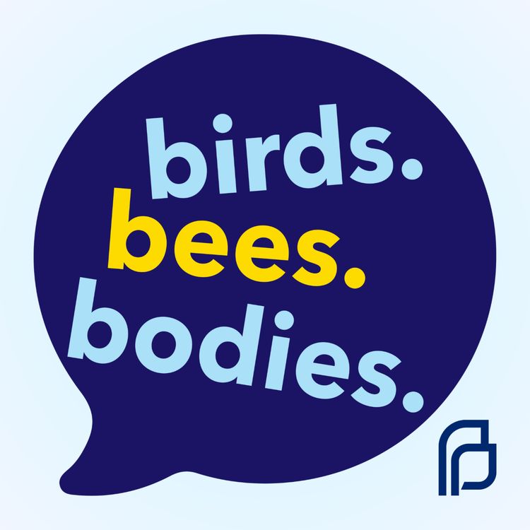 cover art for From Shame to Support: Shifting the Narrative Around Pregnancy Loss