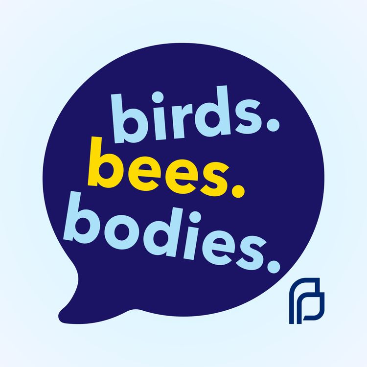 cover art for All are welcome here