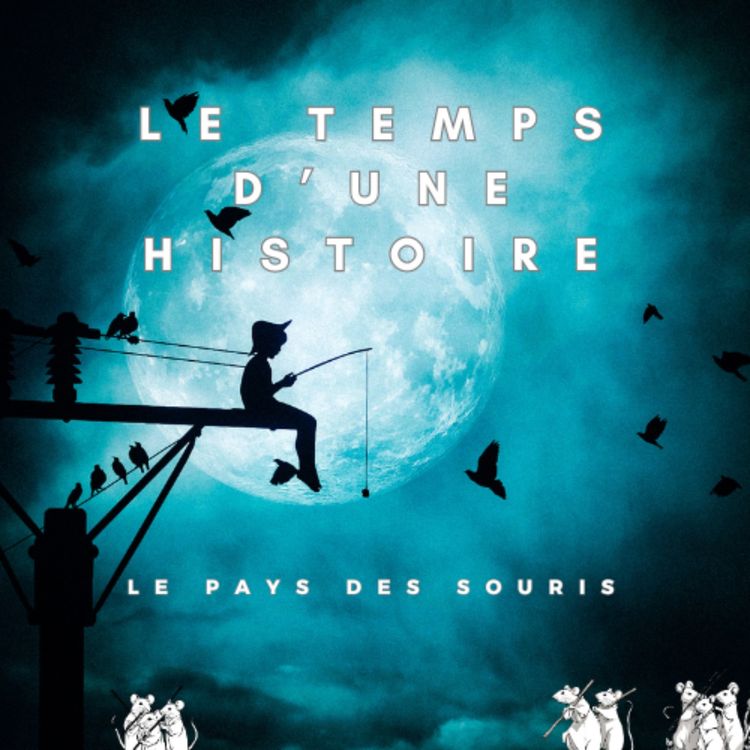 cover art for Le pays des souris