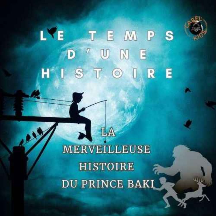 cover art for LA MERVEILLEUSE HISTOIRE DU PRINCE BAKI