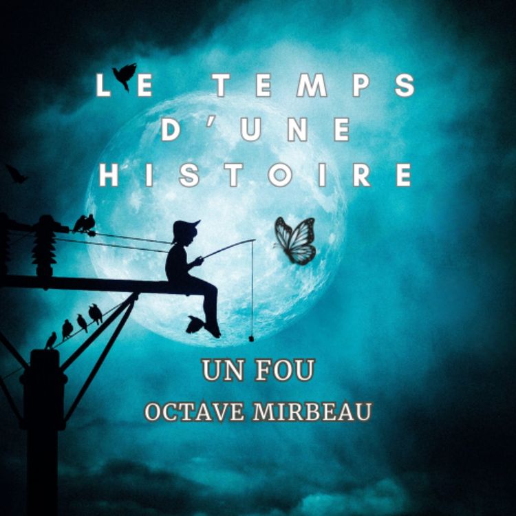 cover art for UN FOU d'Octave Mirbeau