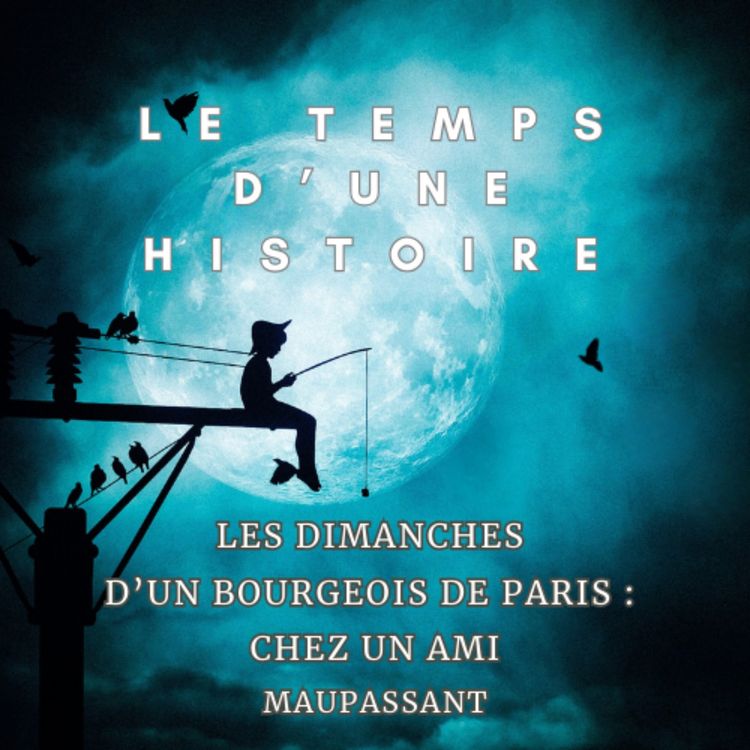 cover art for LES DIMANCHES D'UN BOURGEOIS DE PARIS - CHEZ UN AMI