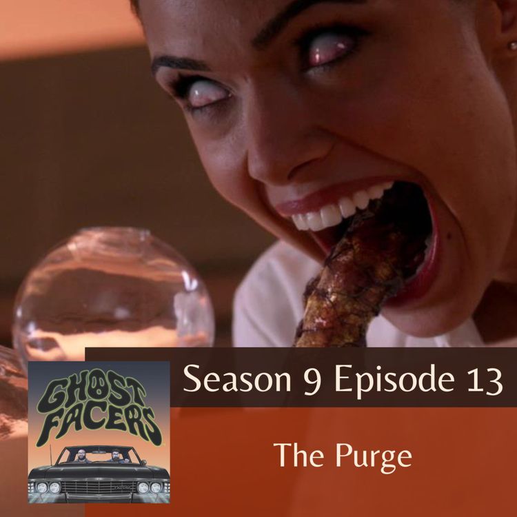 cover art for 9.13: The Purge