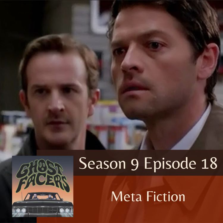cover art for 9.18: Meta Fiction