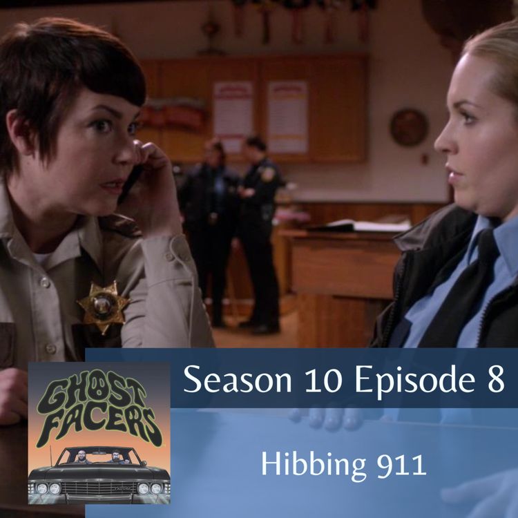 cover art for 10.08: Hibbing 911
