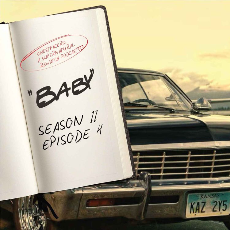 cover art for 11.04: Baby