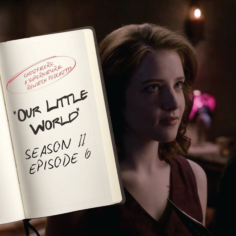 cover art for 11.06: Our Little World