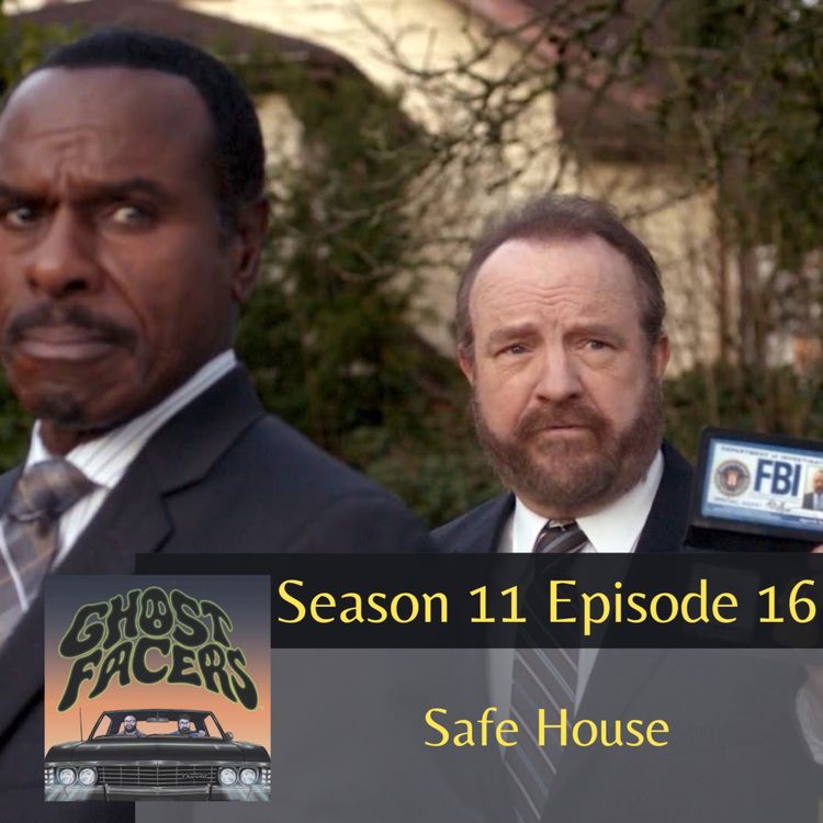 cover art for 11.16: Safe House