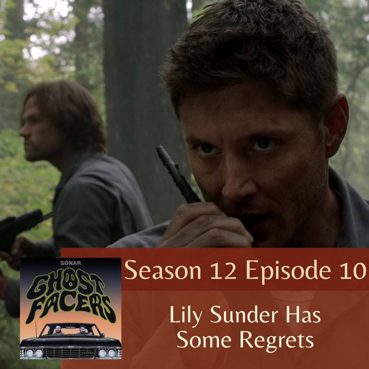 cover art for 12.10: Lily Sunder Has Some Regrets