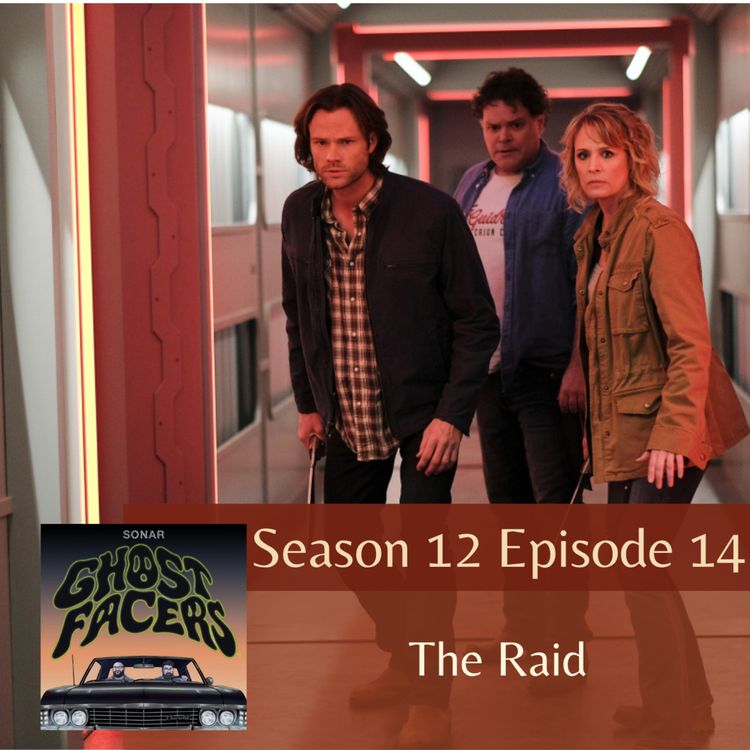 cover art for 12.14: The Raid