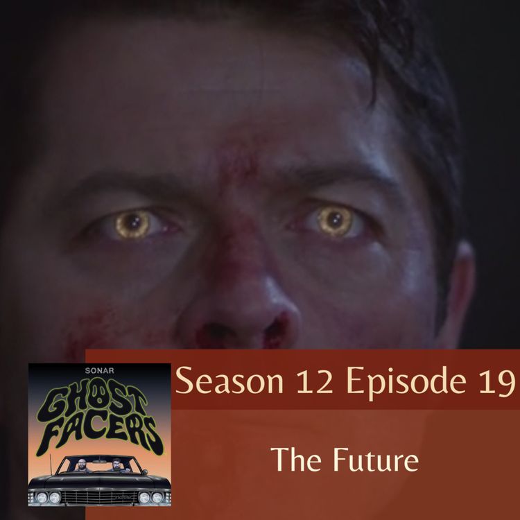 cover art for 12.19: The Future