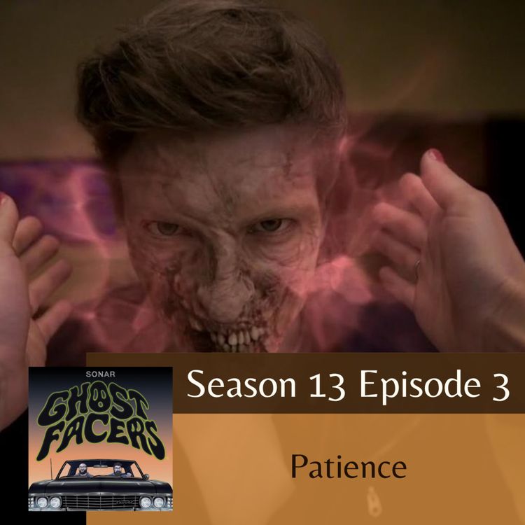 cover art for 13.03: Patience