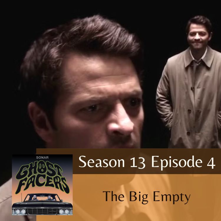 cover art for 13.04: The Big Empty