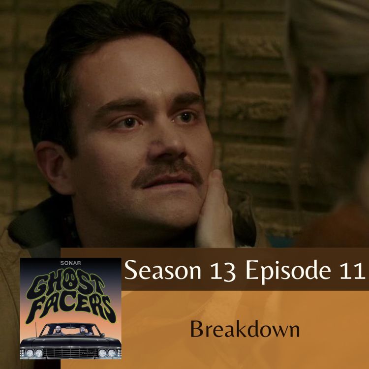 cover art for 13.11: Breakdown