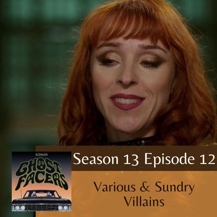 cover art for 13.12: Various & Sundry Villains