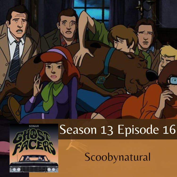 cover art for 13.16: Scoobynatural